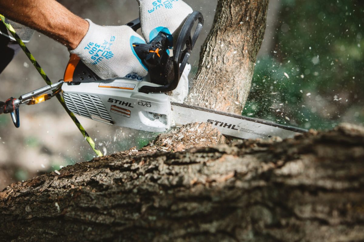 MS 194 T STIHL ΒΕΝΖΙΝΟΚΙΝΗΤΟ ΚΛΑΔΕΥΤΙΚΟ ΑΛΥΣΟΠΡΙΟΝΟ ΜΕ ΛΑΜΑ 30CM ΑΛΥΣΟΠΡΙΟΝΑ STIHL